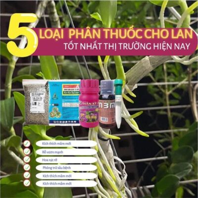 TRỌN BỘ PHÂN BÓN CHO LAN